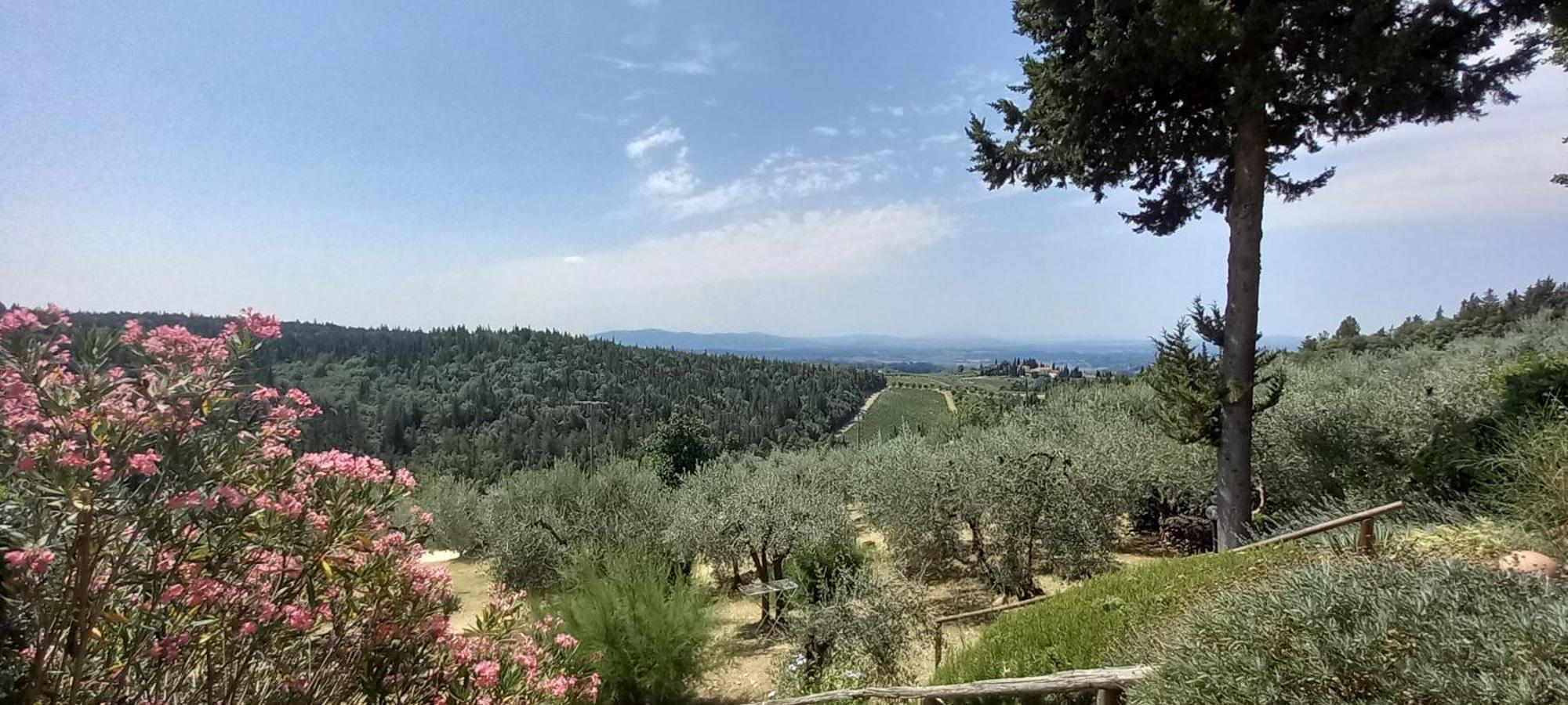 Borgo Nel Chianti Istrice Con Piscina Tennis E Wifi Кастелліна-ін-К'янті Екстер'єр фото