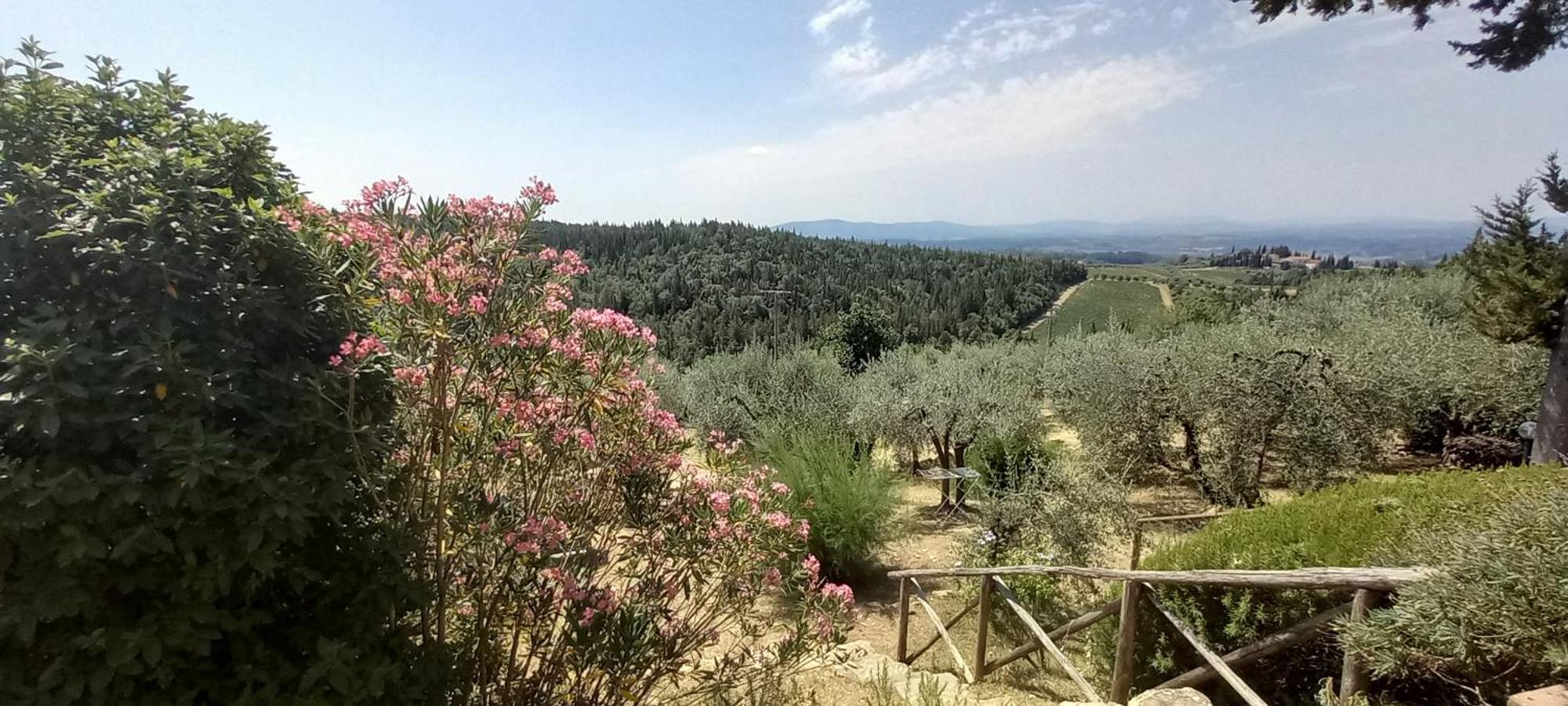 Borgo Nel Chianti Istrice Con Piscina Tennis E Wifi Кастелліна-ін-К'янті Екстер'єр фото
